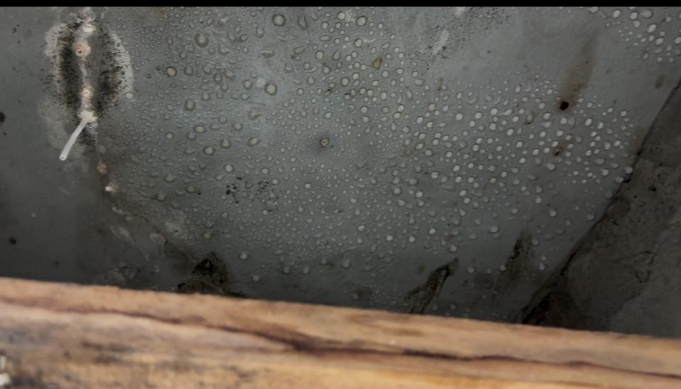 浴室清潔案件圖片