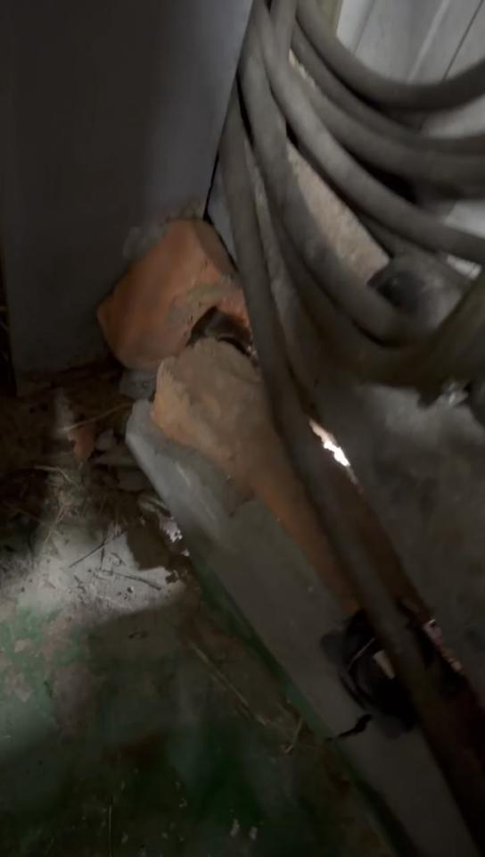 泥作/水泥施工案件圖片