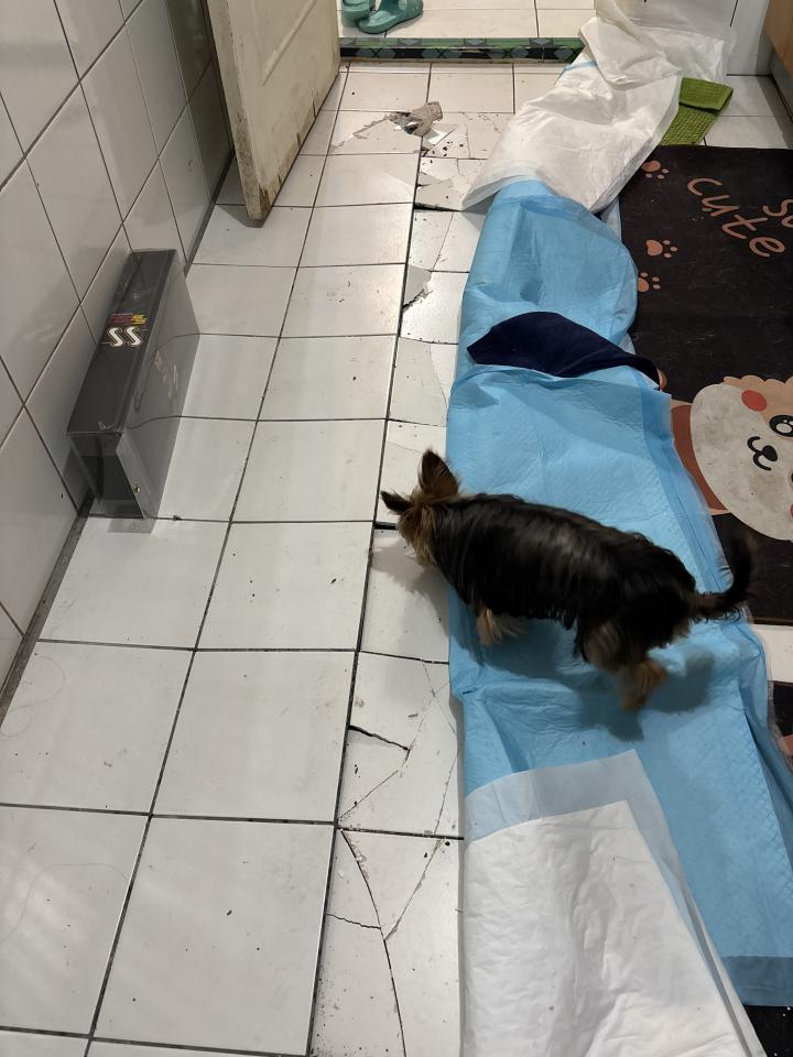 磁磚修補案件圖片