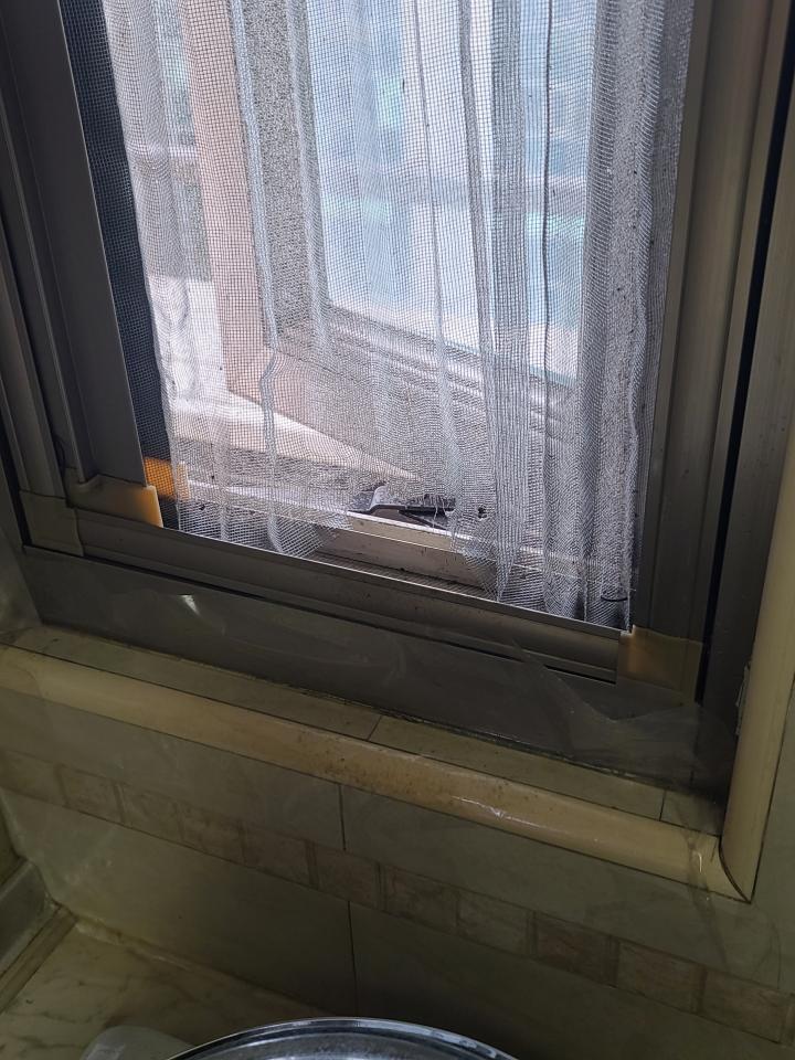 紗窗裝修案件圖片
