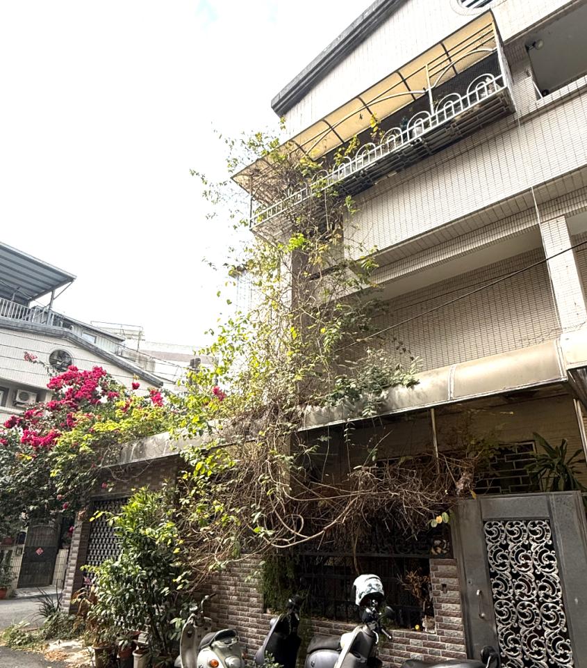 園藝維護案件圖片