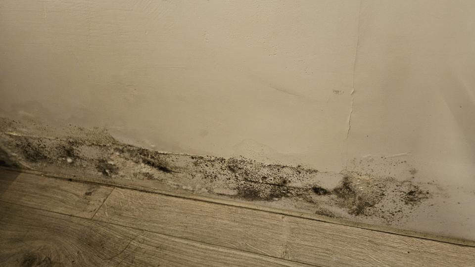 油漆工程案件圖片