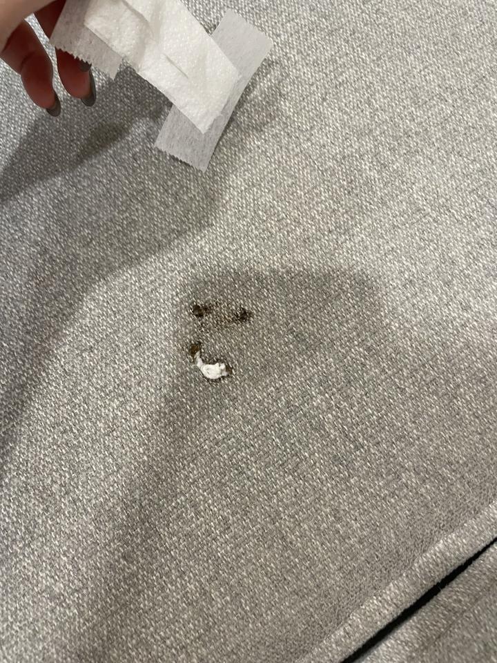 沙發修理案件圖片