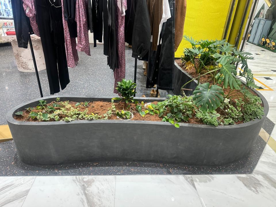 園藝維護案件圖片