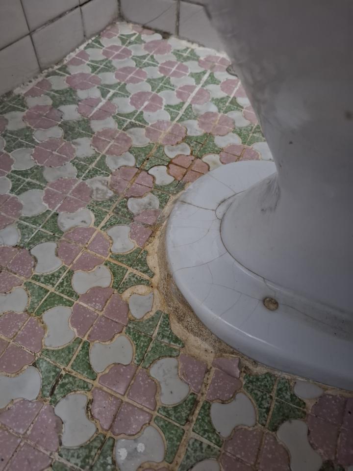 馬桶裝修案件圖片