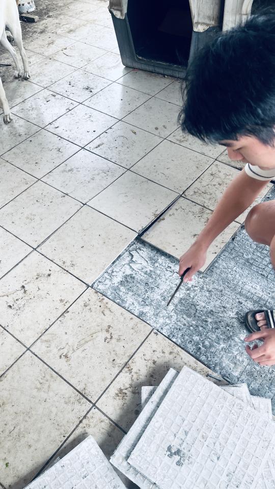 泥作/水泥施工案件圖片