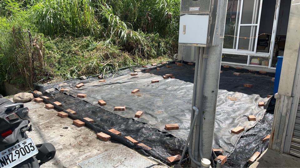 園藝維護案件圖片