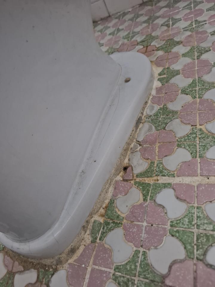 馬桶裝修案件圖片