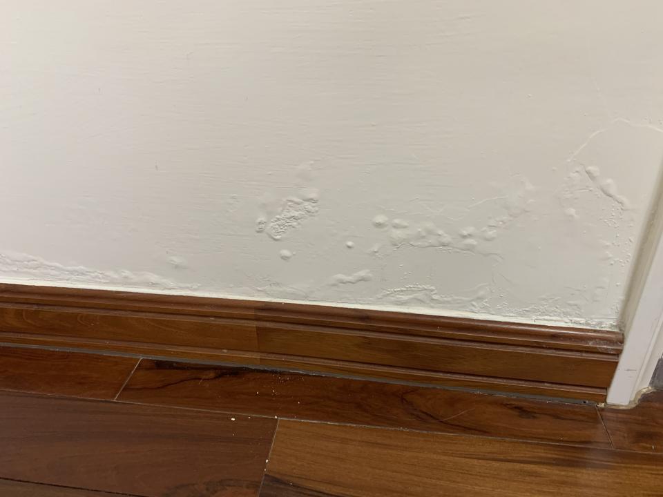 壁癌處理案件圖片