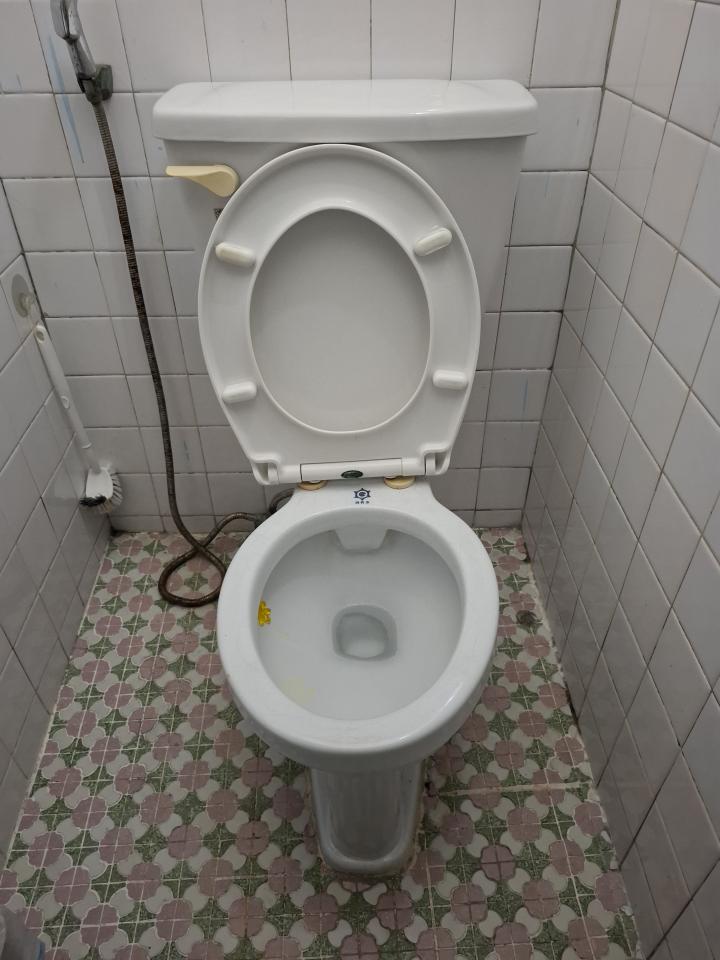 馬桶裝修案件圖片