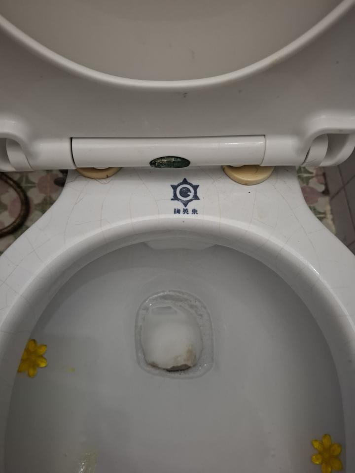 馬桶裝修案件圖片