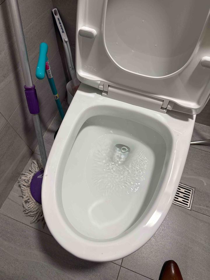 馬桶裝修案件圖片