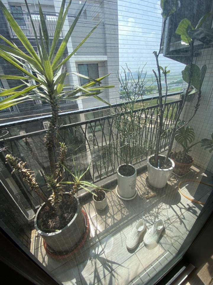 大型垃圾回收案件圖片