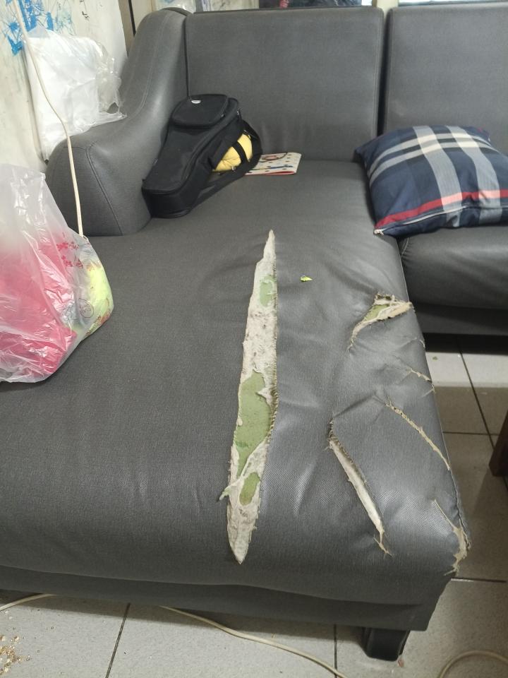沙發修理案件圖片