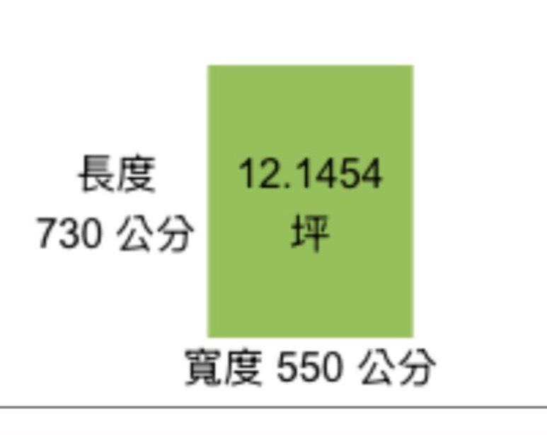 外牆拉皮案件圖片