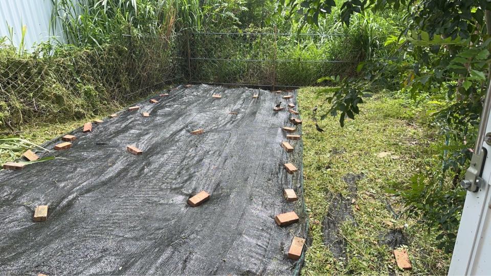 園藝維護案件圖片