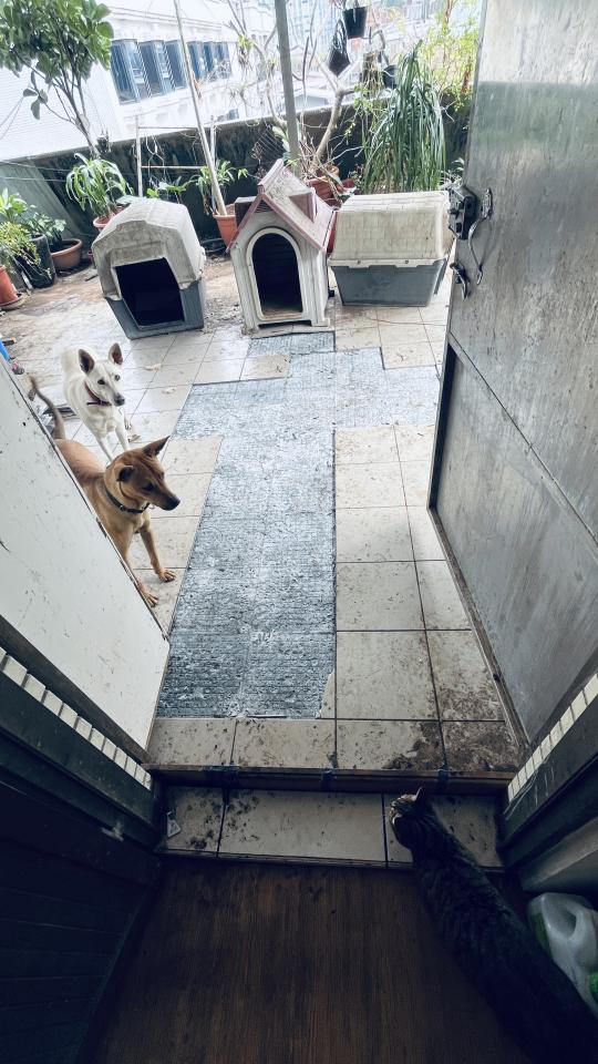 泥作/水泥施工案件圖片