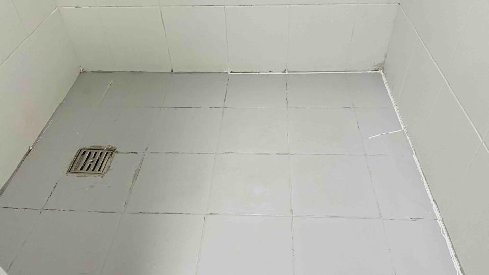 油漆工程案件圖片