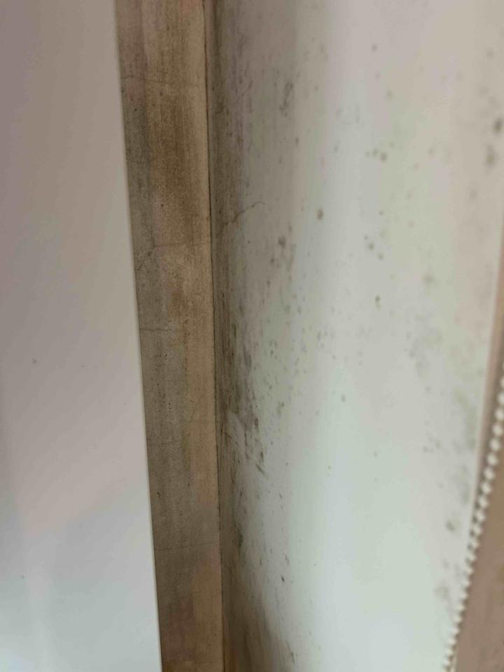 浴室除霉清潔案件圖片