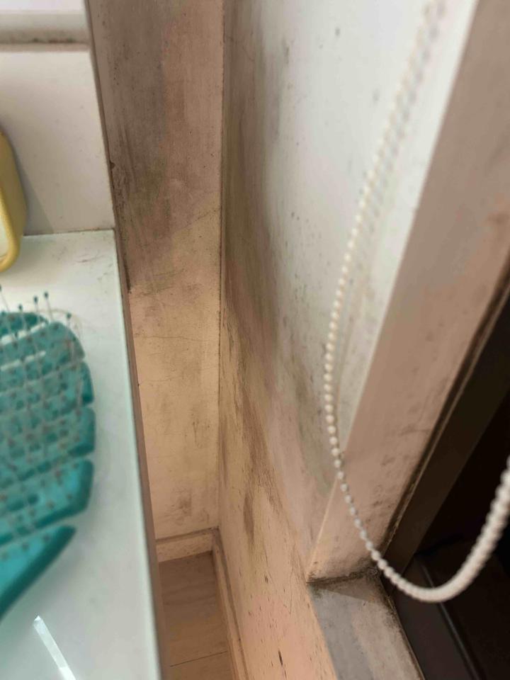 浴室除霉清潔案件圖片