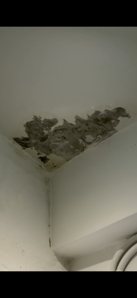 漏水處理案件圖片