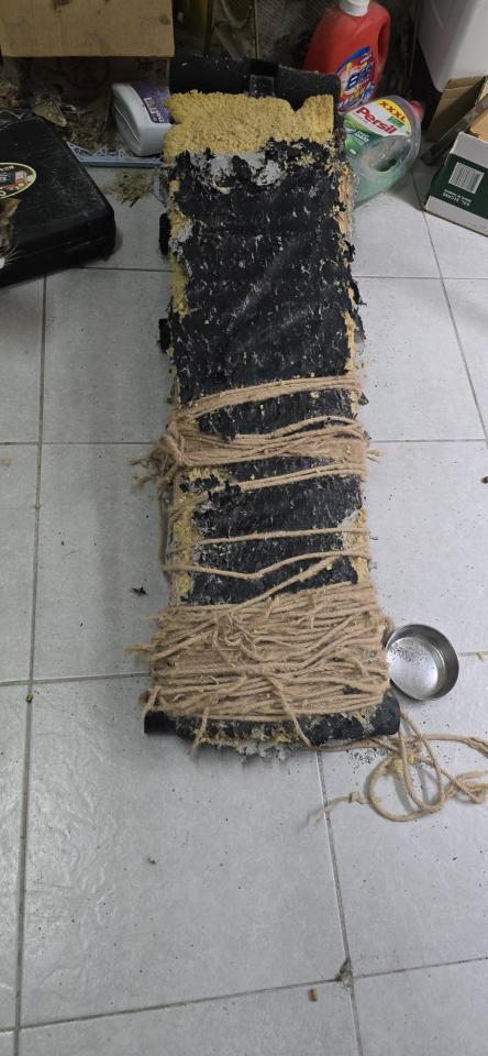 大型垃圾回收案件圖片