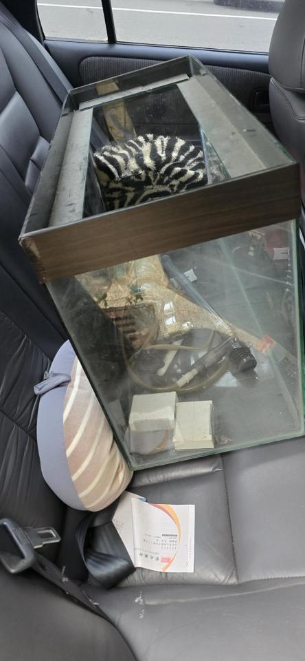 大型垃圾回收案件圖片