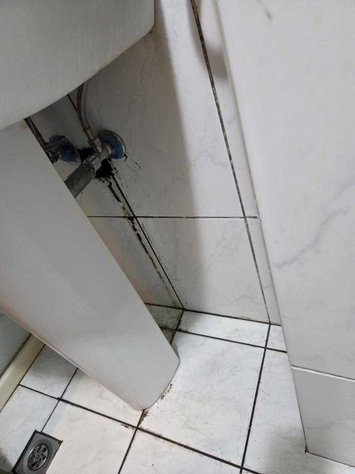 漏水處理案件圖片