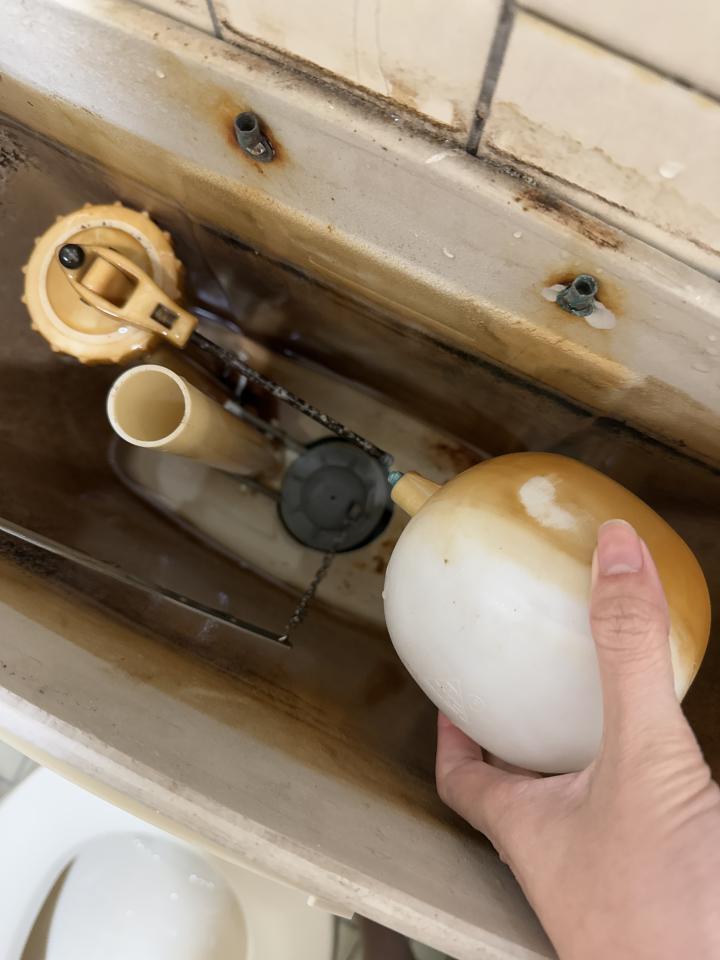 馬桶裝修案件圖片