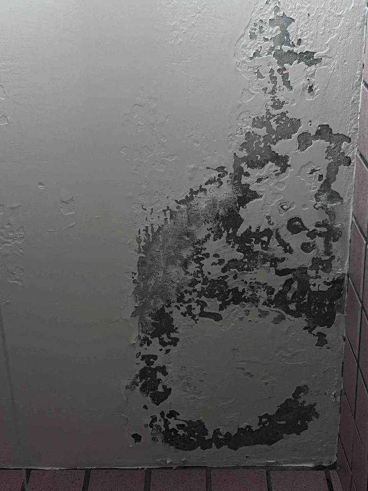 油漆工程案件圖片