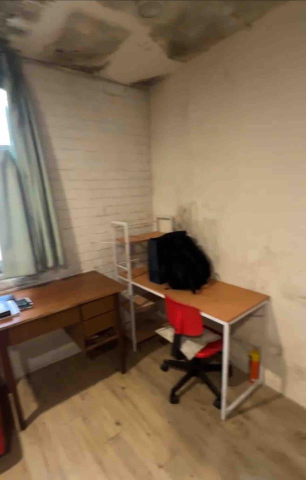 油漆工程案件圖片