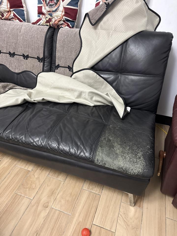 沙發修理案件圖片