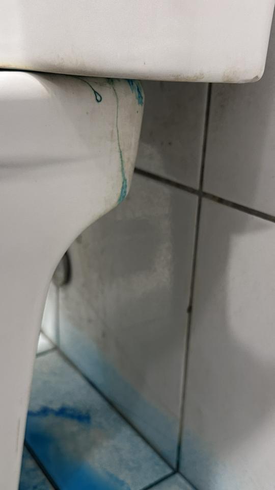 馬桶裝修案件圖片