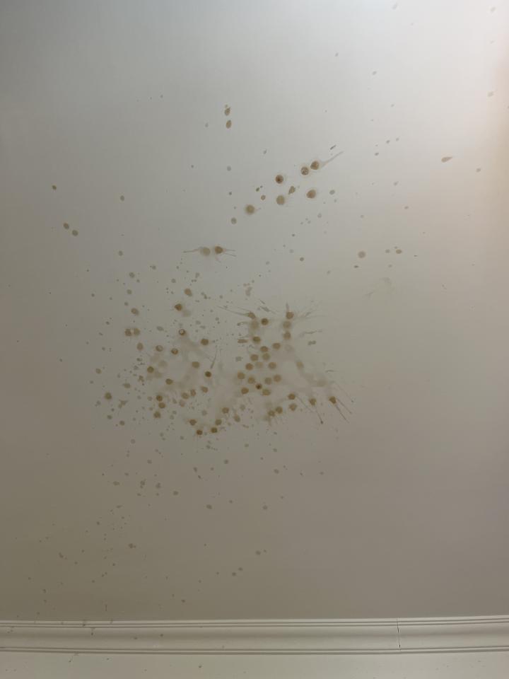 油漆工程案件圖片