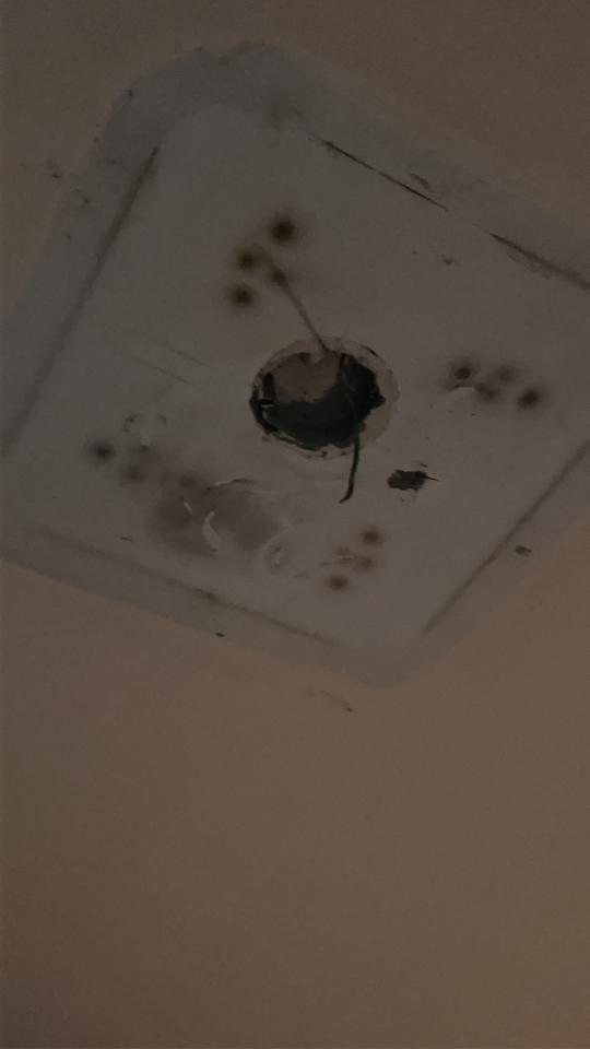 燈具安裝案件圖片