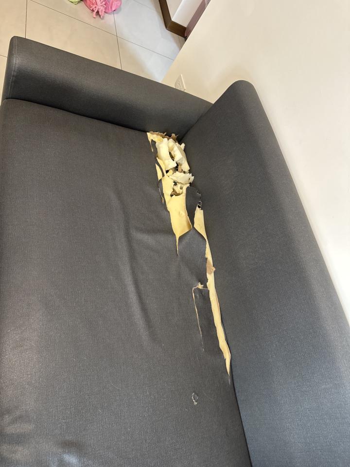 沙發修理案件圖片