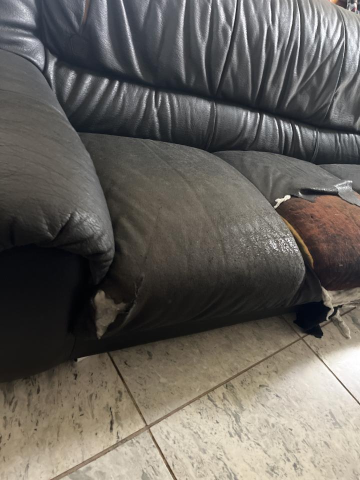 沙發修理案件圖片
