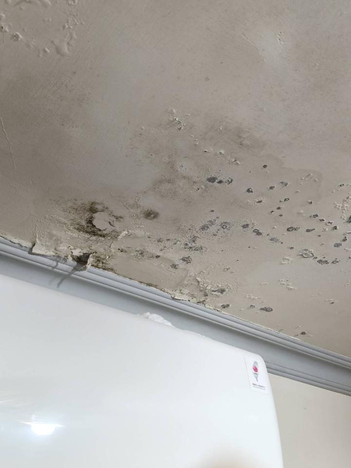 漏水處理案件圖片