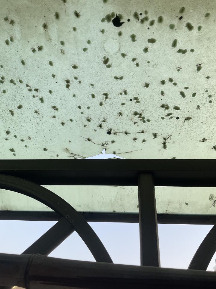 採光罩案件圖片