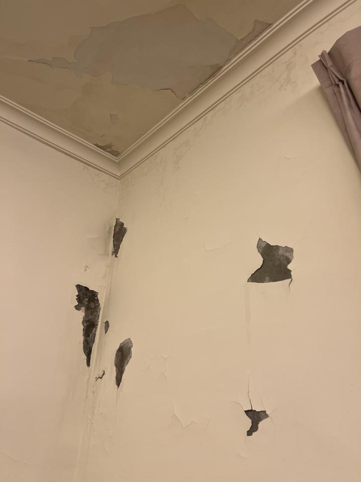 漏水處理案件圖片