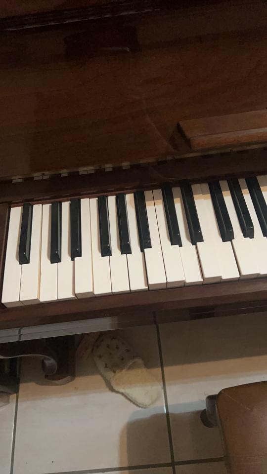 鋼琴調音案件圖片