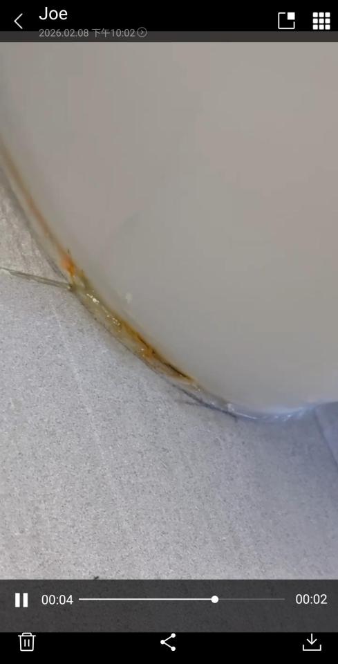 馬桶裝修案件圖片