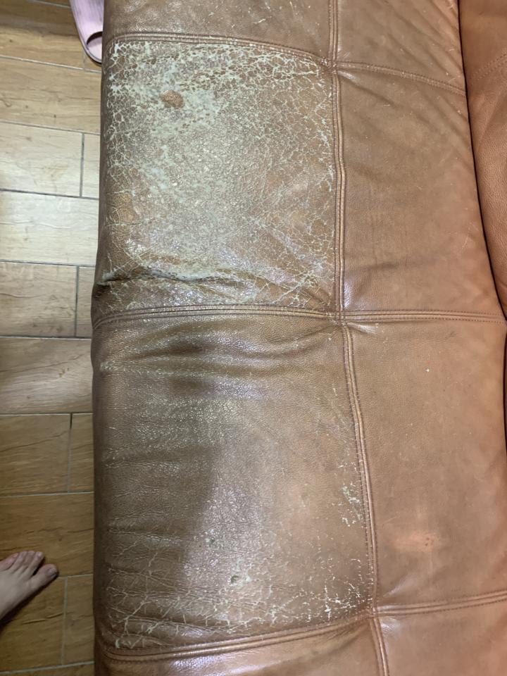 沙發修理案件圖片