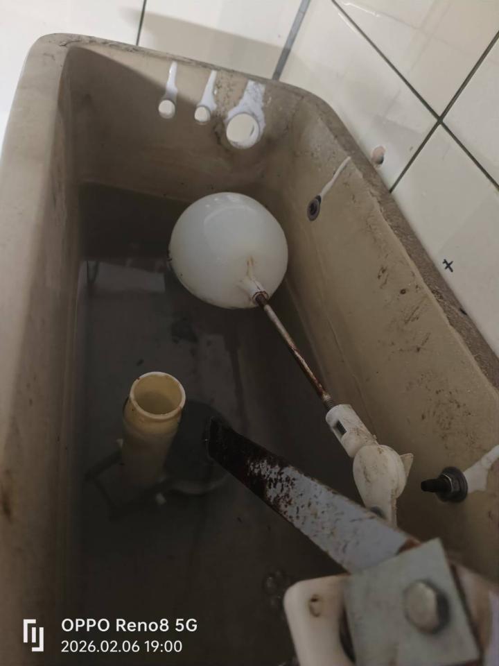 馬桶裝修案件圖片