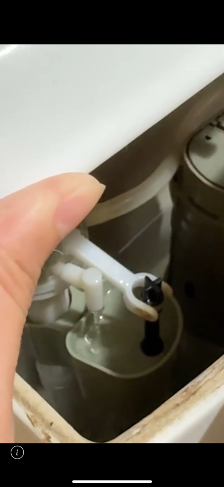 馬桶裝修案件圖片