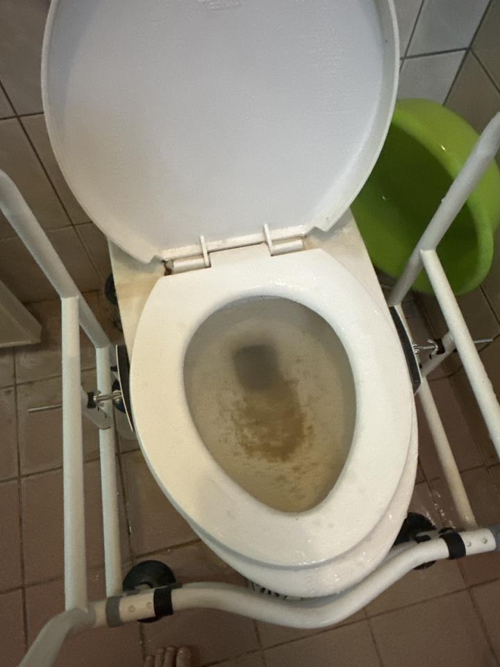 馬桶裝修案件圖片