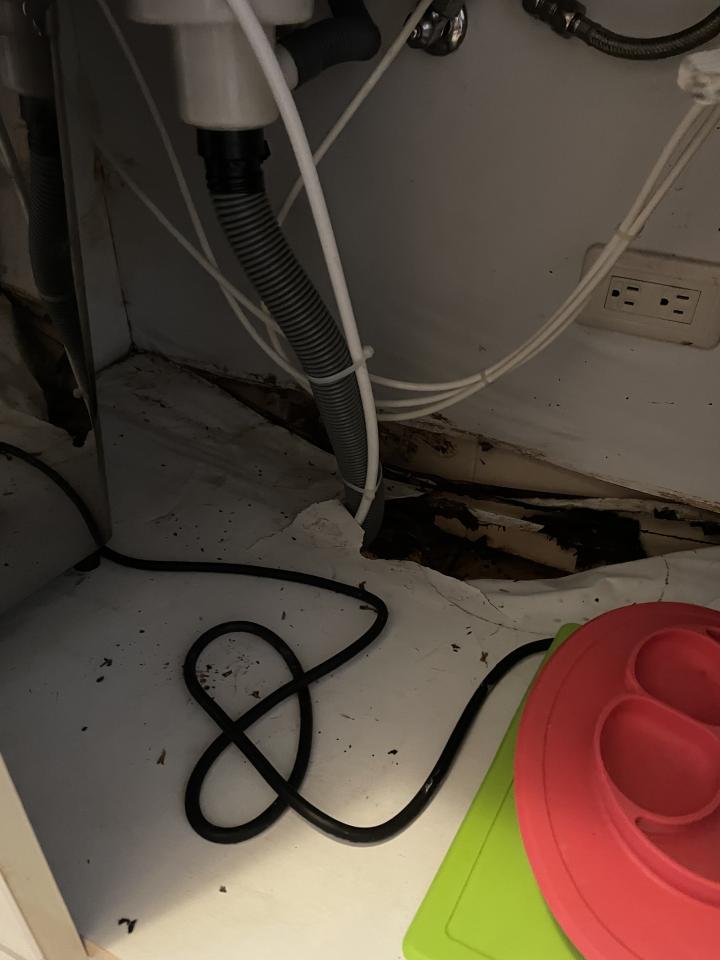 水管維修案件圖片