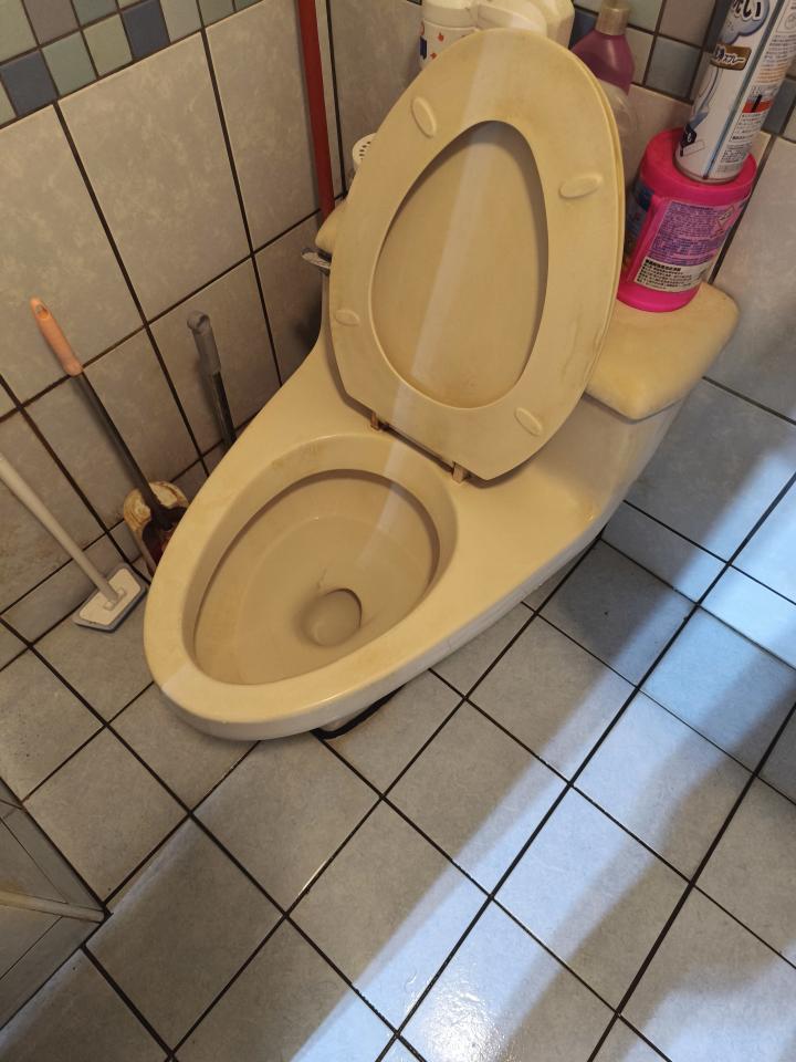 馬桶裝修案件圖片