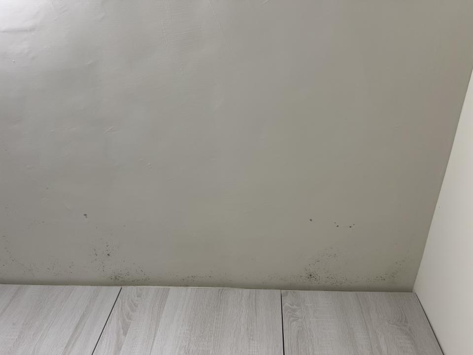 屋頂防水案件圖片