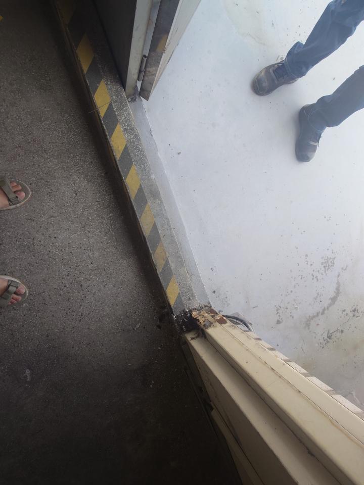 泥作/水泥施工案件圖片